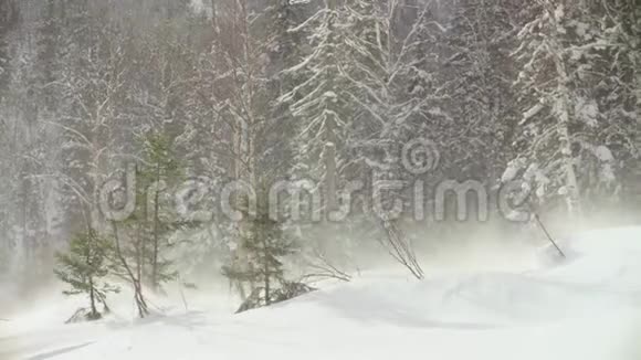 从冬季森林起飞的直升机上射击视频的预览图