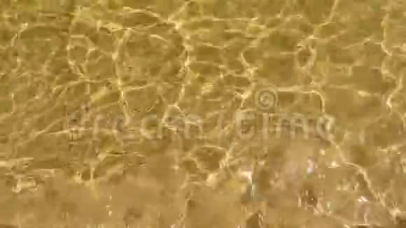在水的下面视频的预览图