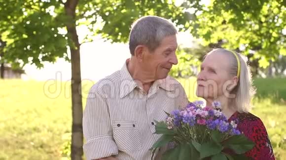 祖父母在阳光公园散步八十年视频的预览图