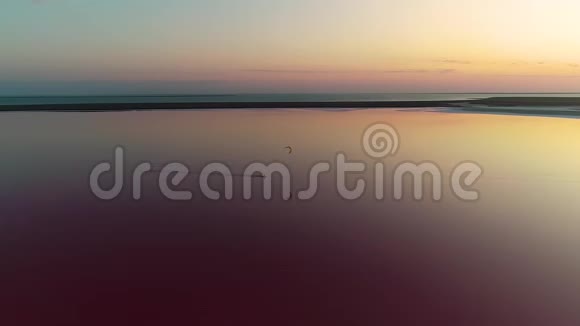 空中拍摄粉红色湖的全景一个孤独的人骑在那里视频的预览图