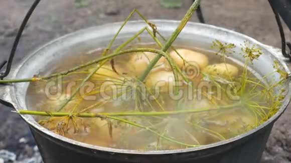 在铸铁锅中煮户外土豆和火盆里的食物在大自然中烹饪食物视频的预览图