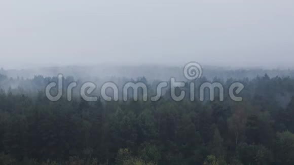 雨中雾覆盖的森林的俯视图视频的预览图