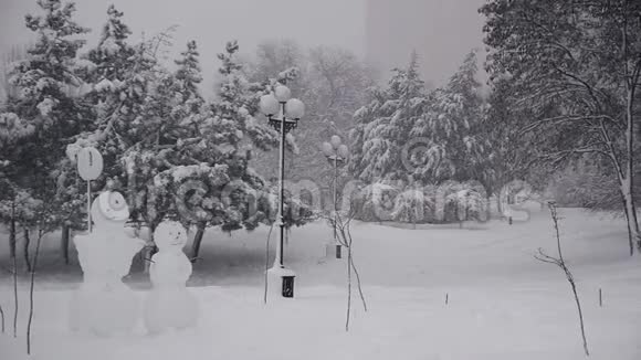 冬天大雪覆盖的松枝视频的预览图