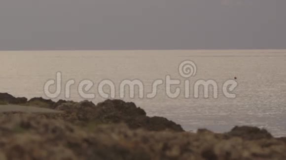 从宁静的大海的岩石上看视频的预览图