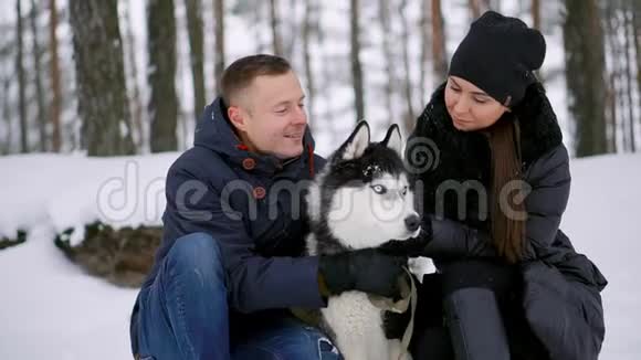 一男一女抱着一只西伯利亚犬坐在冬林里微笑着看着对方看着对方视频的预览图