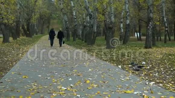 两位年长的妇女穿过公园视频的预览图