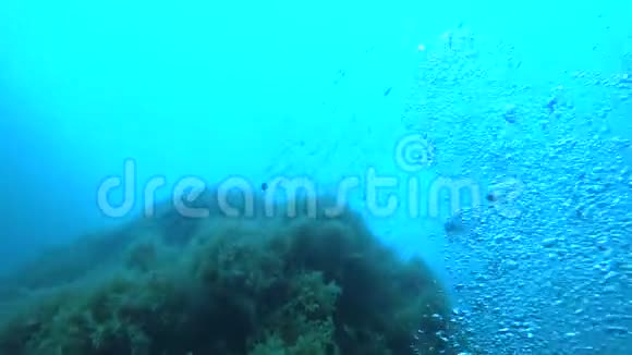 水下的氧气泡沫撞击悬崖和鱼溺水者的观点视频的预览图