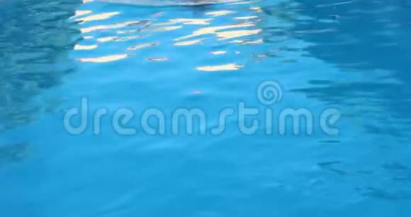 顶级景观年轻女子在水下游泳视频的预览图