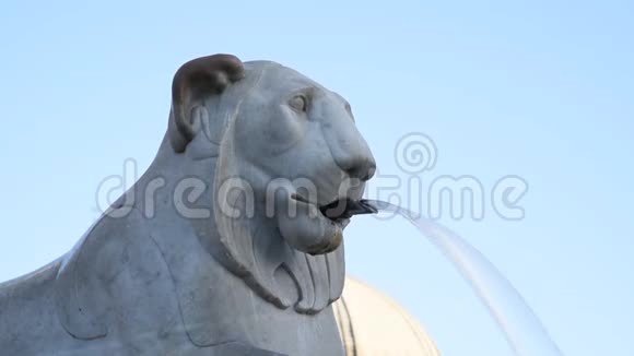 波波洛广场的狮子喷泉视频的预览图