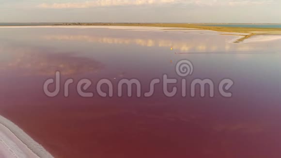 粉红色的豪华轿车在白色的沙滩上孤独的风筝手视频的预览图