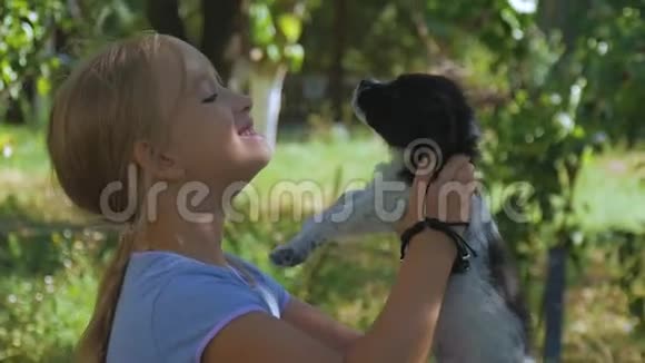带着小狗在花园里的小女孩女孩手里的小狗视频的预览图