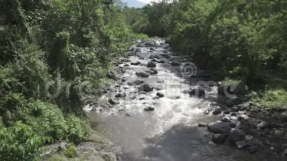 热带雨后的深山河迷人的河流景观茂密的异国森林生长在岩石河岸和快速的WA视频的预览图