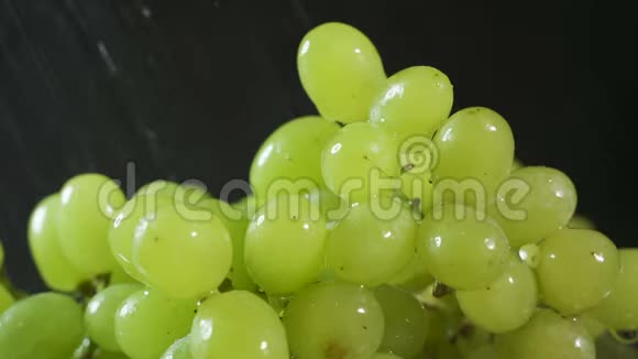 水滴里的绿葡萄浆果视频的预览图