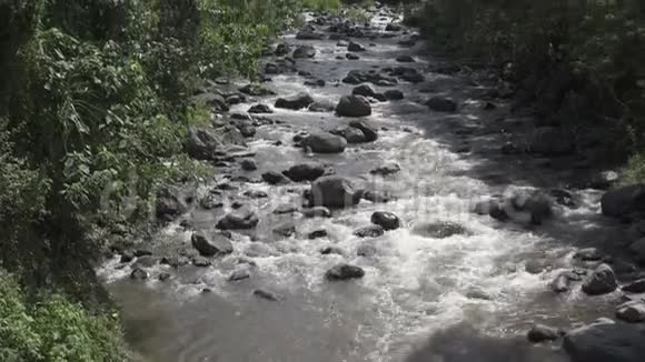 热带雨后的深山河迷人的河流景观茂密的异国森林生长在岩石河岸和快速的WA视频的预览图