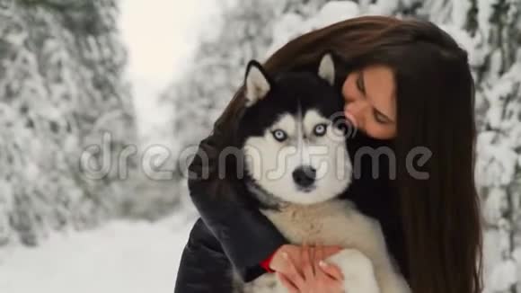 一个美丽的女孩在大自然中拥抱西伯利亚哈士奇并从事训练强烈的爱的拥抱视频的预览图