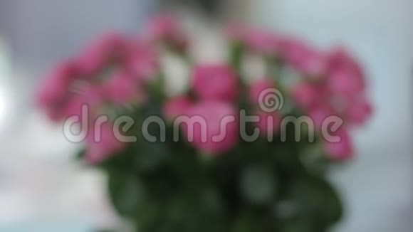粉红玫瑰在多莉的镜头里推视频的预览图