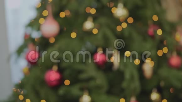 圣诞树云杉与银波克无焦点的花环装饰灯摘要节日背景视频的预览图