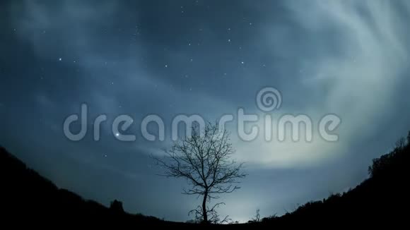 星空下的寂寞树视频的预览图