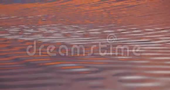 太阳把河涂成橙色视频的预览图