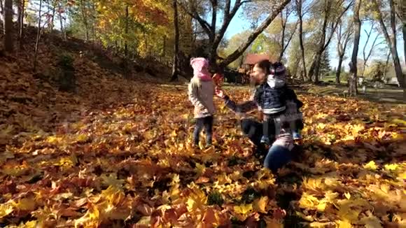 快乐的人们家庭玩五颜六色的秋叶视频的预览图