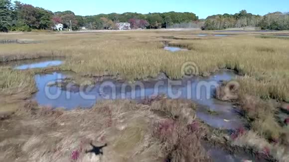 空中无人机低飞过沼泽通过草地和水与无人机阴影在视图4K视频的预览图