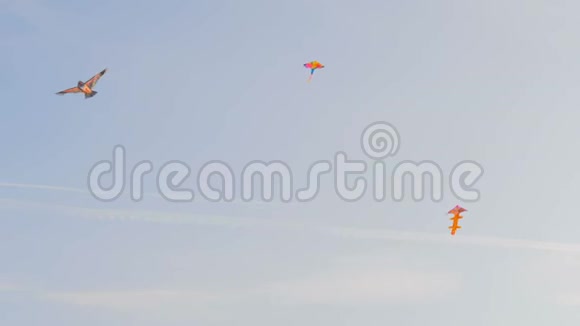五彩缤纷的风筝在蓝天上飞翔视频的预览图