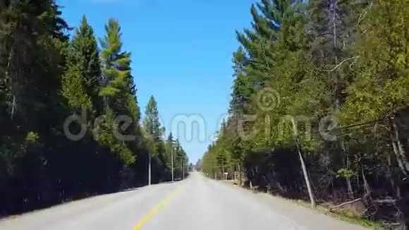 春日期间驾驶农村森林沿着美丽的阳光林地树木的司机视角视频的预览图