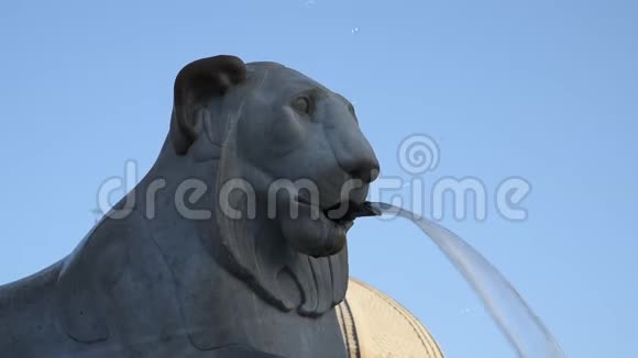 波波洛广场的狮子喷泉视频的预览图