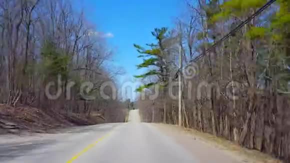 春日期间驾驶农村森林沿着美丽的阳光林地树木景观的司机视角视频的预览图
