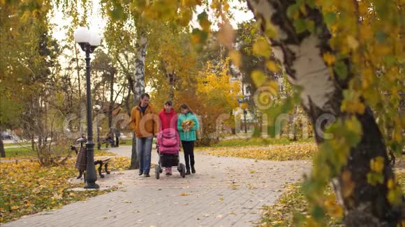 孩子在爸爸的怀里和他的母亲和妹妹带着婴儿车去公园视频的预览图