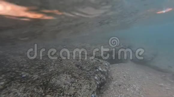 水面海浪在岩石海岸附近缓慢的运动视频的预览图