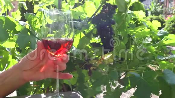 玫瑰酒可以倒在葡萄园背景下的玻璃杯里女人手拿着酒杯在葡萄园里视频的预览图