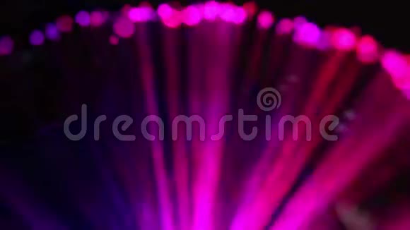 紫红蓝二极管灯光背景视频的预览图