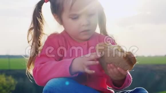 可爱的小女孩在阳光明媚的草地上吃三明治视频的预览图