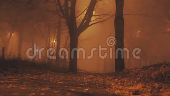 雾吓人秋夜背景视频的预览图