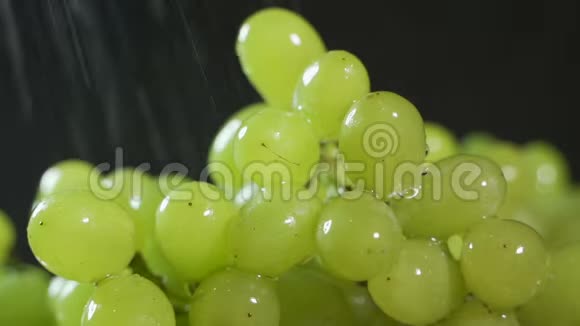 水滴里的绿葡萄浆果视频的预览图