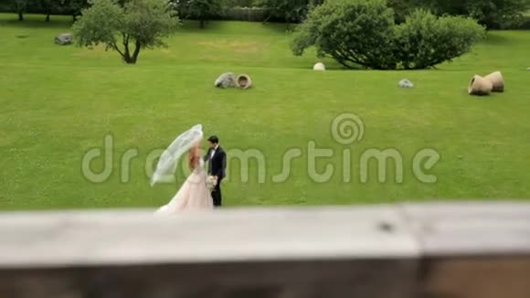 新娘和新郎在他们的婚礼上在绿草和花园的背景下温柔而性感的拥抱视频的预览图