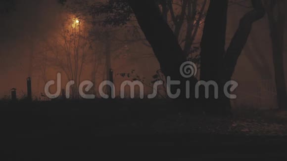 雾吓人秋夜背景视频的预览图