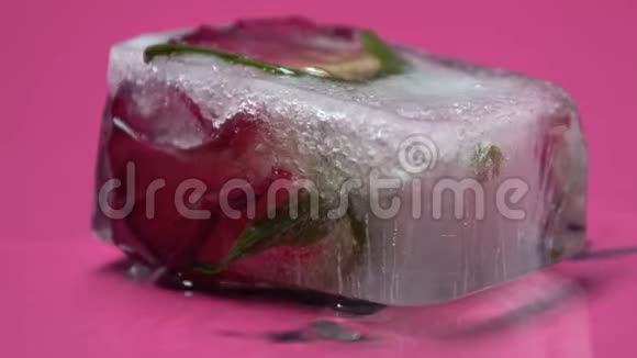 冰融化出现玫瑰爱情对人的内心世界的认知特写视频的预览图