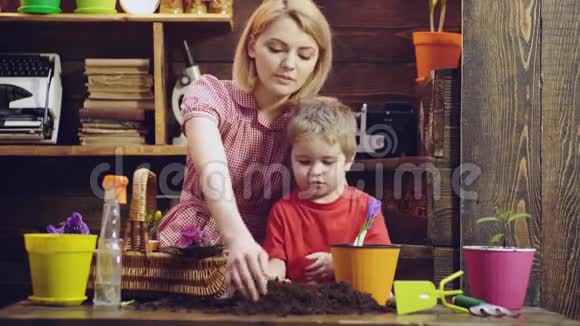 可爱的孩子帮助他的母亲照顾植物种花有个男孩的女人种花家庭植物花卉视频的预览图