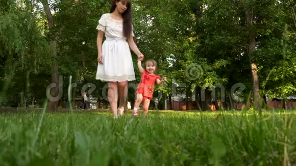 孩子和妈妈走在夏天的城市公园的绿色草坪草地上微笑着视频的预览图