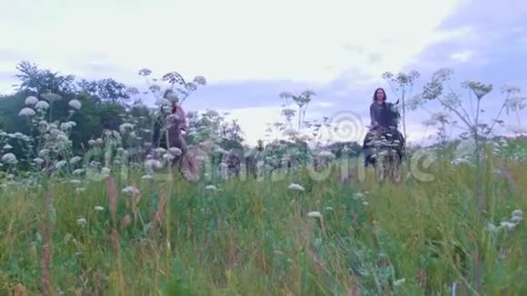 骑马的女骑手带着鲜花穿过田野视频的预览图