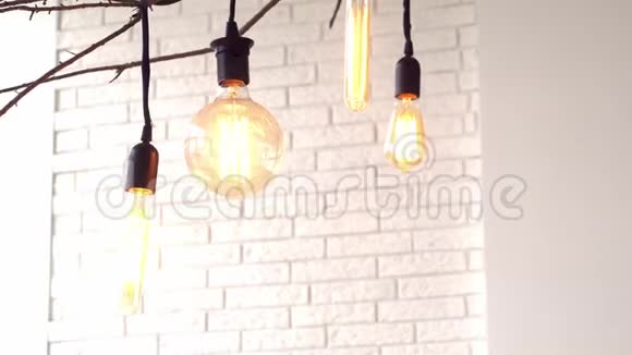 老式挂灯在白色背景的墙壁媒体在树枝上悬挂着不同形状的发光老式灯泡视频的预览图