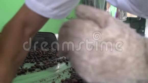巧克力从豆到酒吧把可可豆放进机器里视频的预览图