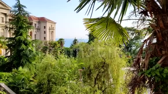 从宫殿的露台上眺望大海和公园视频的预览图