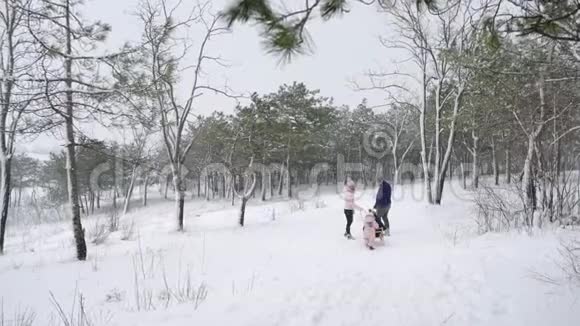 幸福的家庭在下雪的冬天滑雪父亲和母亲在下雪时带着儿子和女儿拉雪橇男孩和女孩视频的预览图