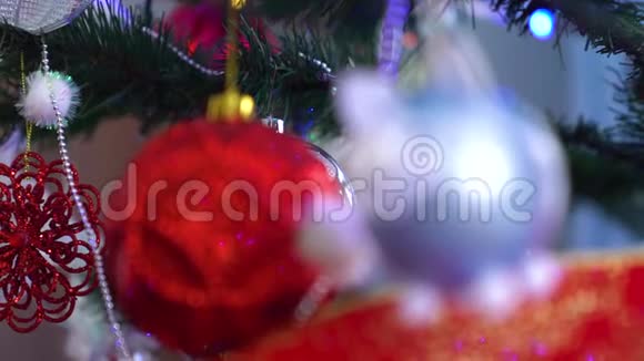 圣诞树上有圣诞灯的装饰物2019年猪球视频的预览图