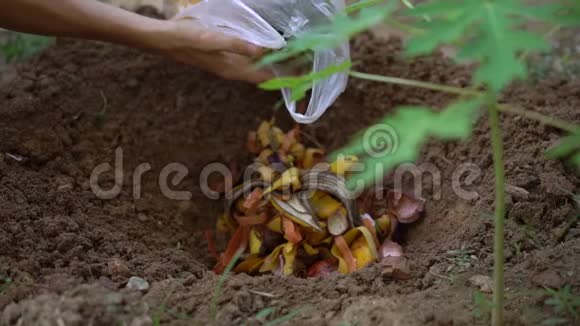一个埋葬有机家庭剩菜的人的慢镜头减少有机废物回收概念视频的预览图