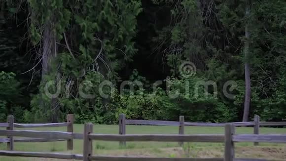 华盛顿州草地上的木制围栏视频的预览图