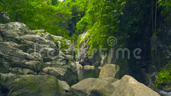 热带森林中的山河山林中的大石头野生自然景观视频的预览图